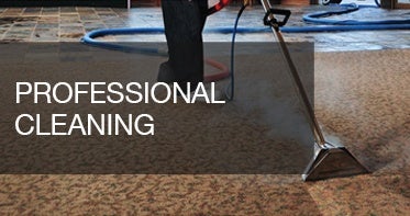 Professional cleaning section.